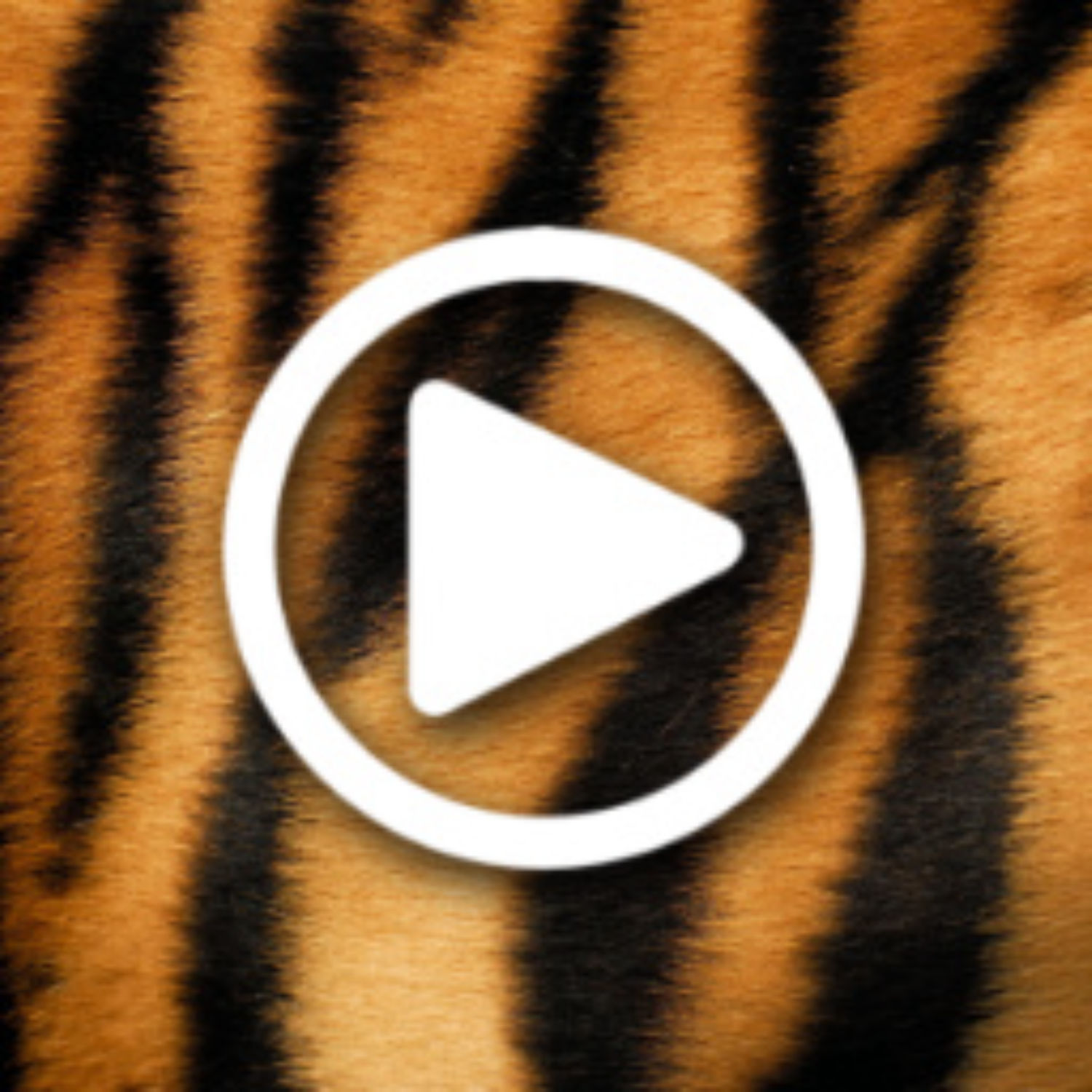 Tisha Tiger / Neliger - Neliger